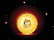 Dogecoin Whales Surge by 50% in 30 Days