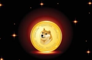 Dogecoin Whales Surge by 50% in 30 Days